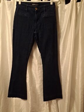Express Dark Indigo Flare Jeans